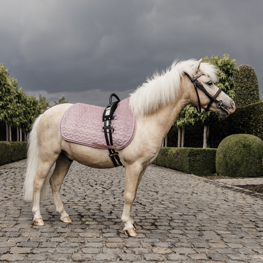Velvet Jumping Saddle Pad PONY | Old Rose