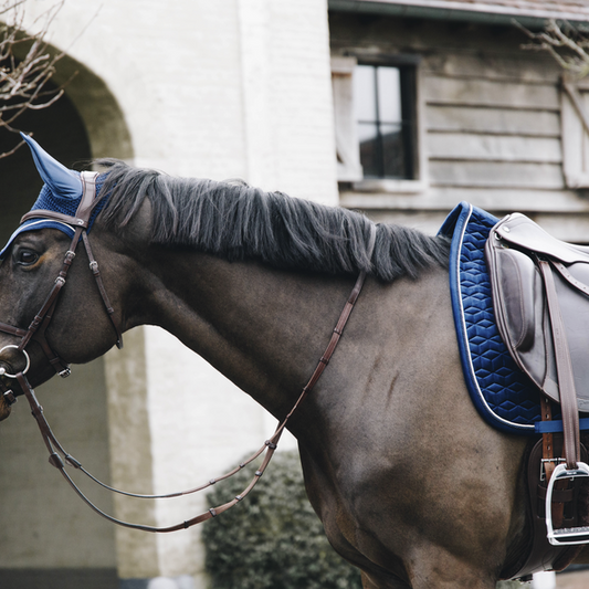 Basic Velvet Dressage Saddle Pad | Navy