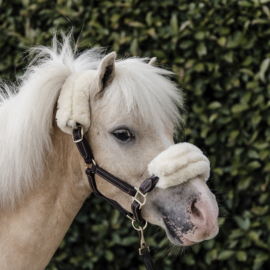 Leather Halter Sheepskin | Pony
