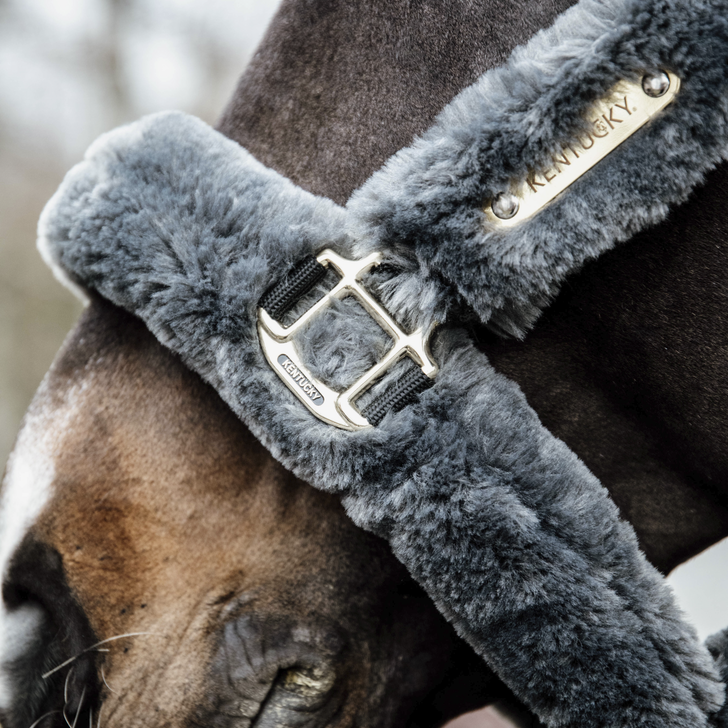 Sheepskin Shipping Halter | Grey