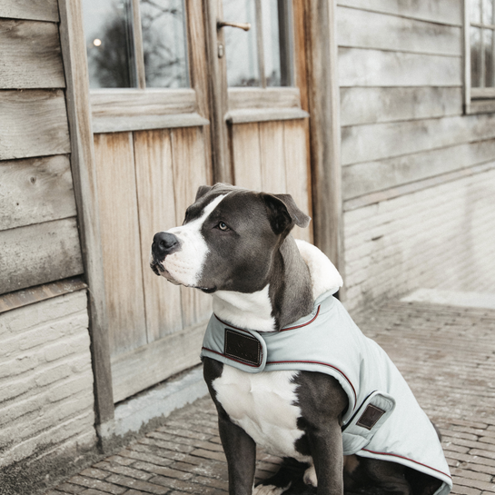 Dog Coat Waterproof 160g | Dusty Blue