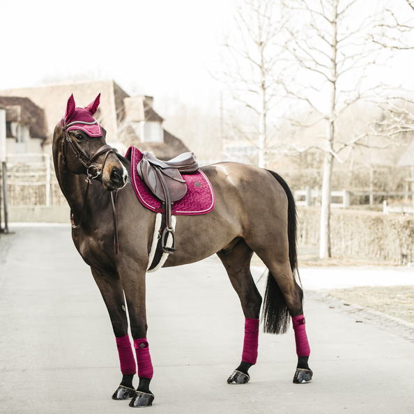 Velvet Jumping Saddle Pad | Fuchsia