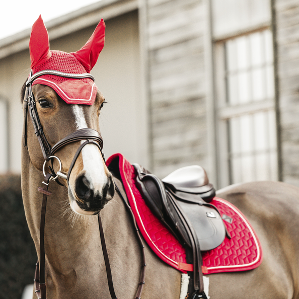 Velvet Jumping Saddle Pad | Red