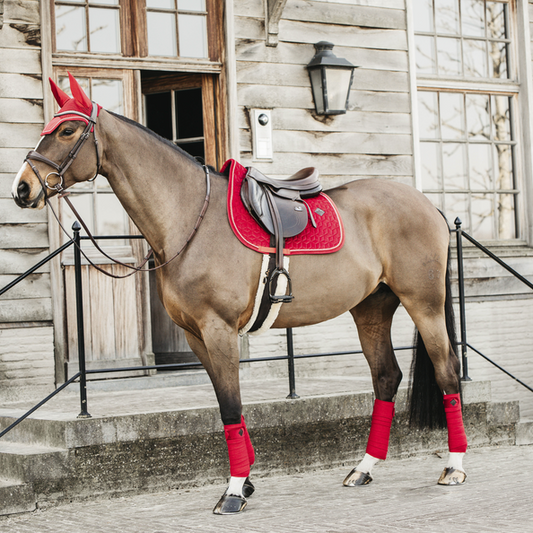 Velvet Jumping Saddle Pad | Red