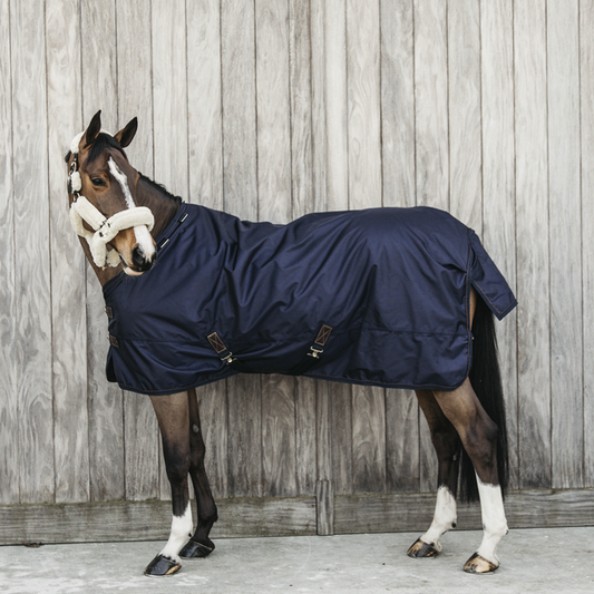 Turnout Rug All Weather Waterproof Pro 160g | Navy