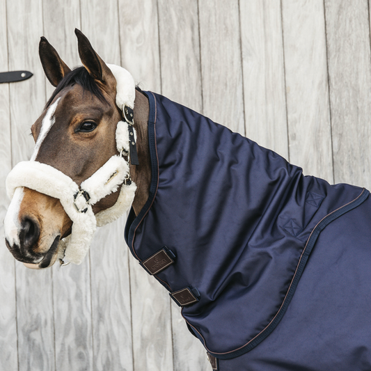 Neck Cover All Weather Waterproof PRO 0g | Navy