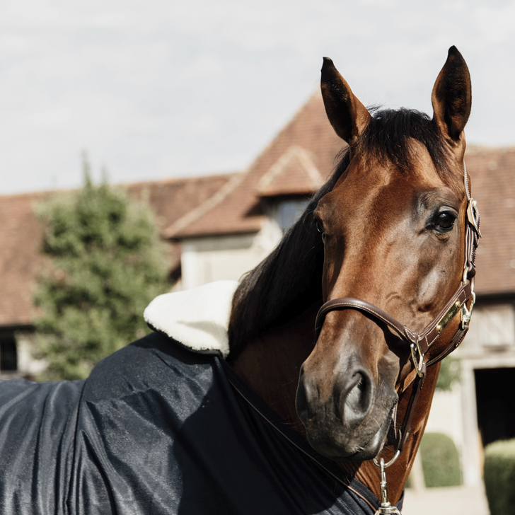 Horse Bib Wither Protection Sheepskin | + Colors