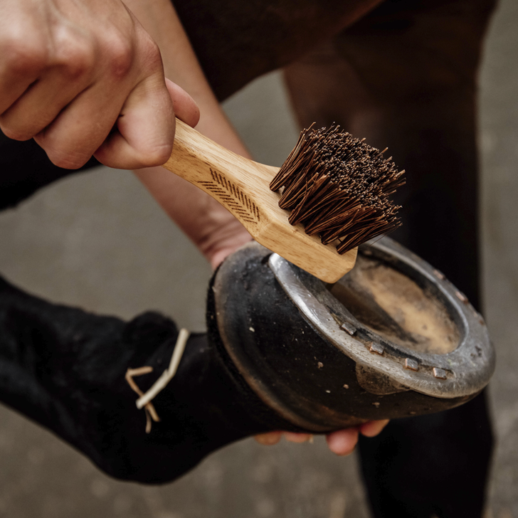 Hoof Pick