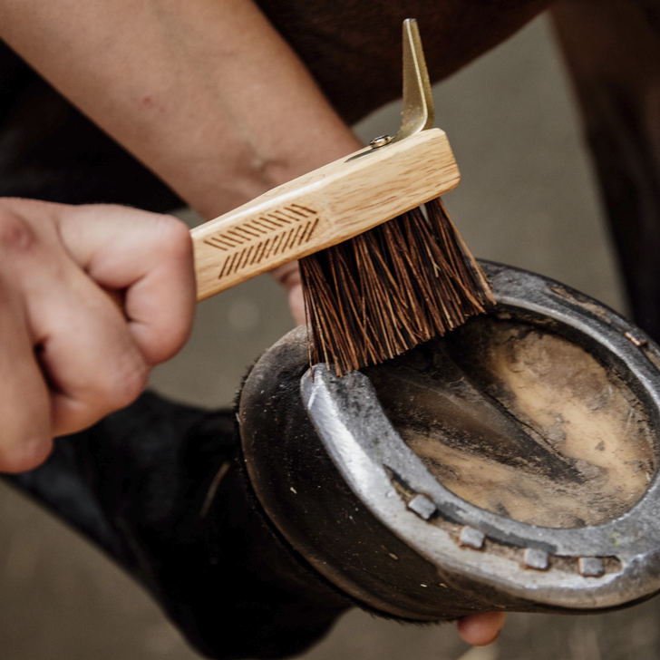 Hoof Pick