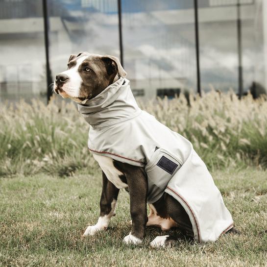 Dog Raincoat | Dusty Blue