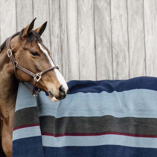 Heavy Fleece Rug Square Stripes | Navy + Grey