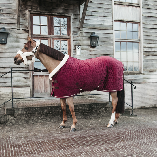 NEW! Show Rug VELVET 160g | Bordeaux