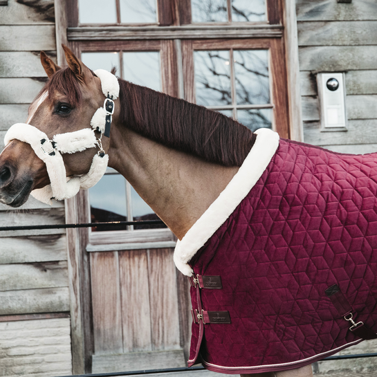 NEW! Show Rug VELVET 160g | Bordeaux
