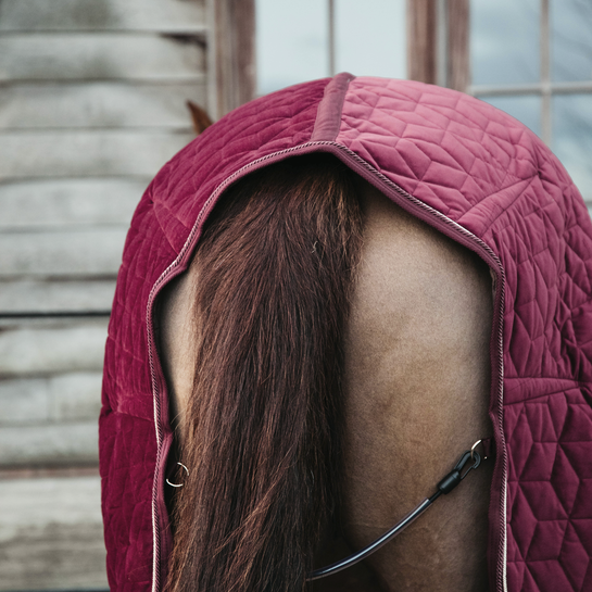 NEW! Show Rug VELVET 160g | Bordeaux