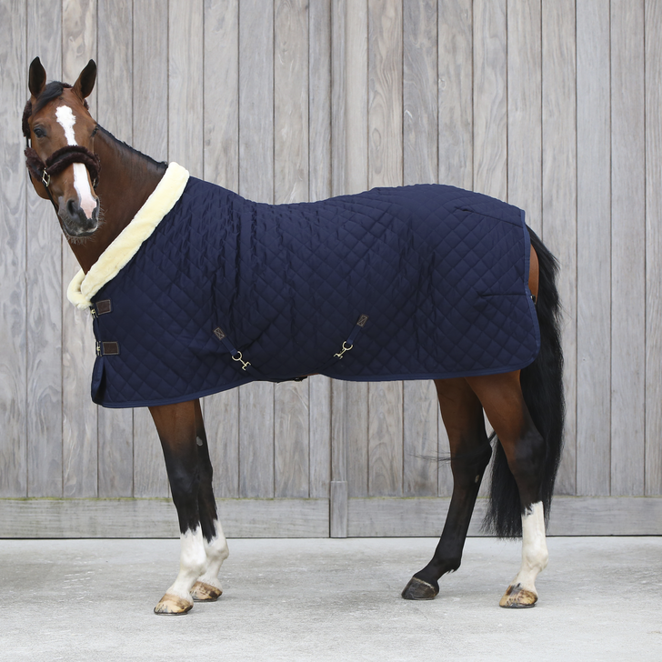 Show Rug 160g | Navy