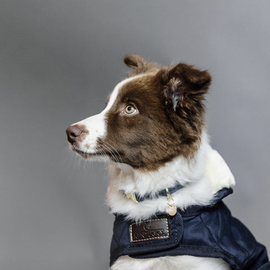 Dog Coat Original | Navy