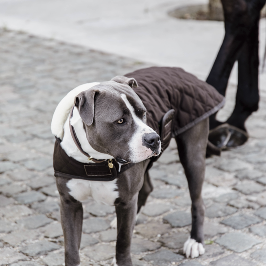 Dog Coat Original | Brown