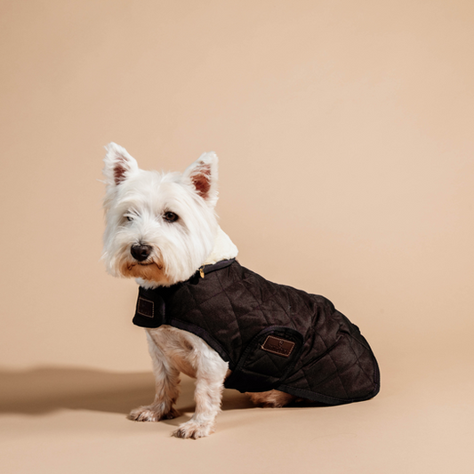 Dog Coat Original | Brown