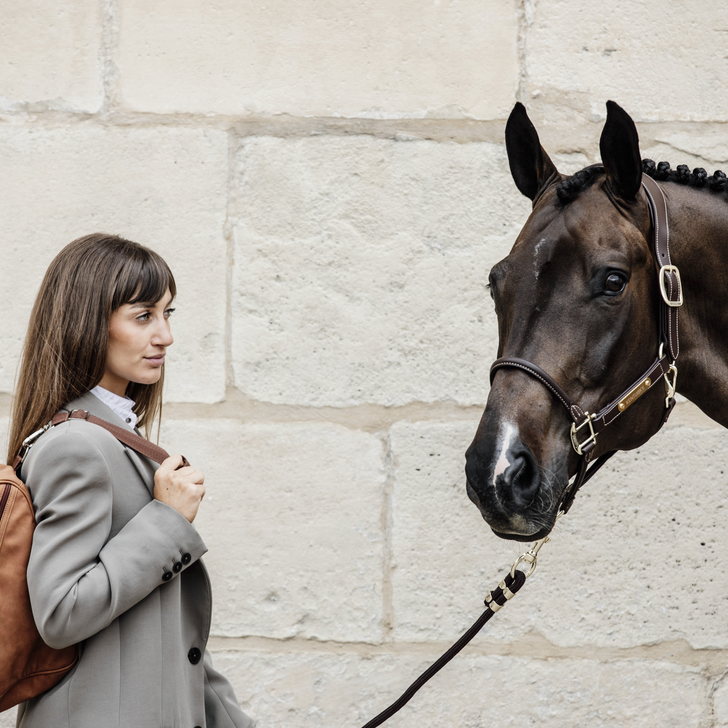 Chestnut Helmet Bag | Brown