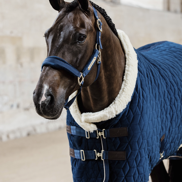 Show Rug VELVET 160g | Navy