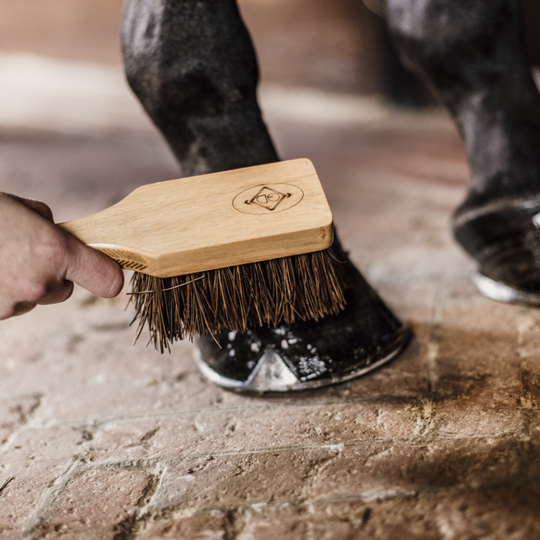 Hoof Brush