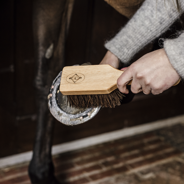 Hoof Brush