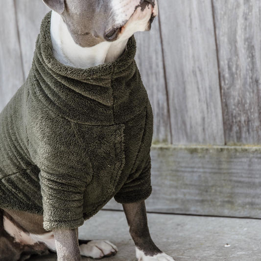 Dog Sweater Teddy Fleece | Pine Green