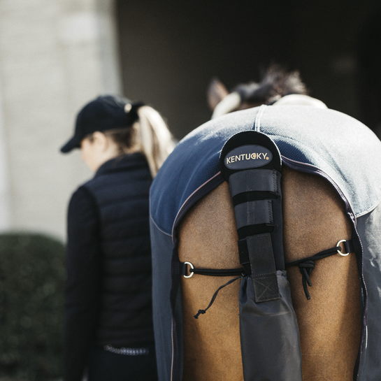 Tail Guard & Tail Bag | Black