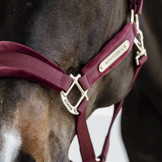 Velvet Halter | Bordeaux