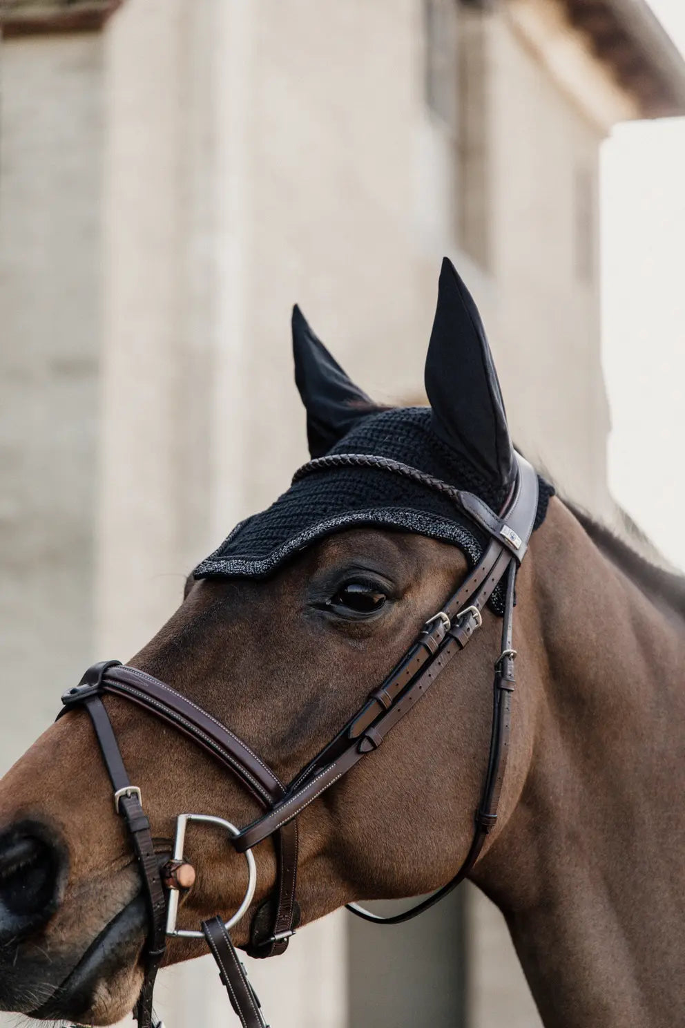 Fly Veil Wellington Glitter Stone | Black