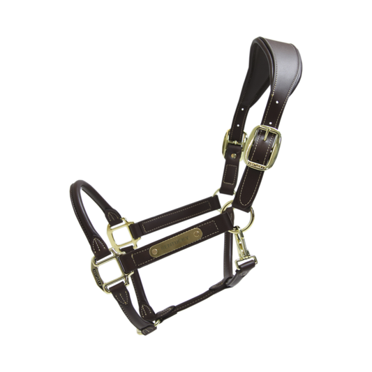Anatomic Leather Halter