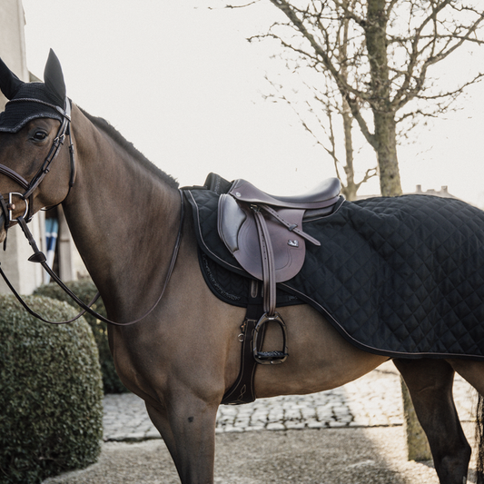 Riding Rug 160g | Black