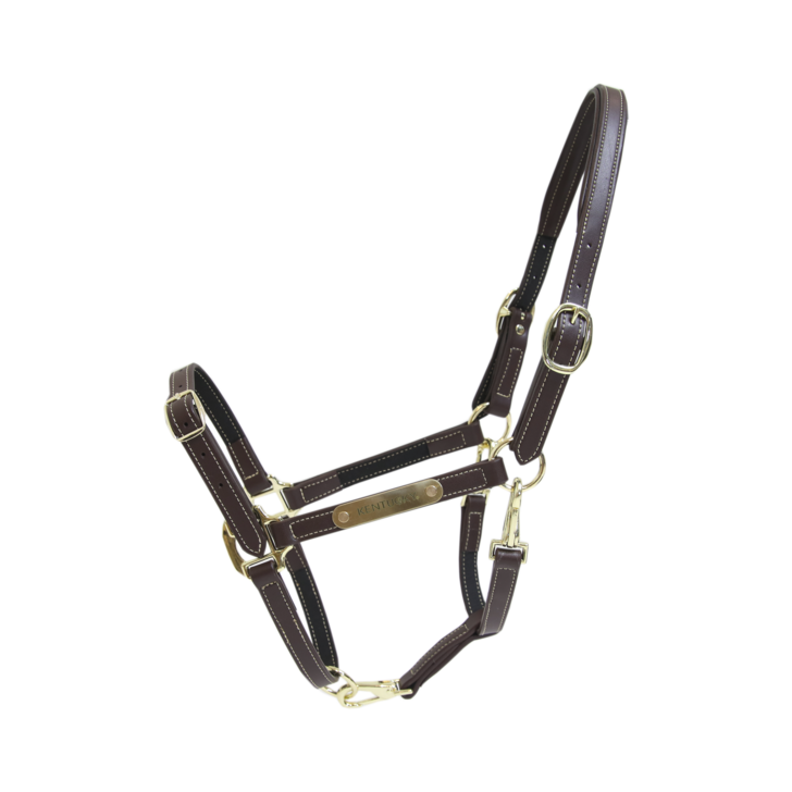 Flexible Leather Halter