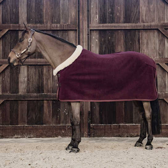Fleece Show Rug Heavy | Bordeaux