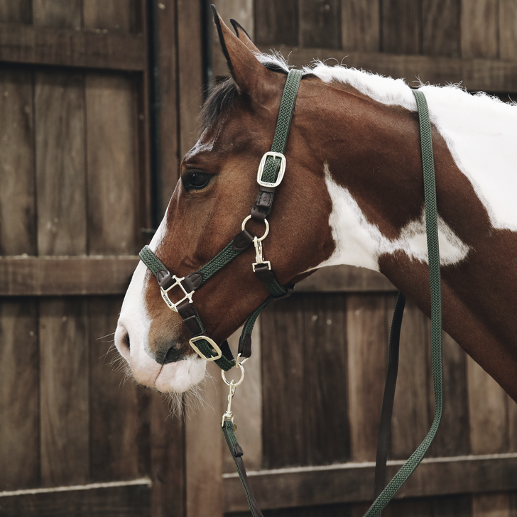 Plaited Nylon Lead | + Colors