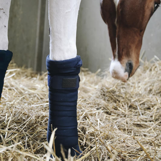 Repellent Stable Bandages - Set of 4 | Navy
