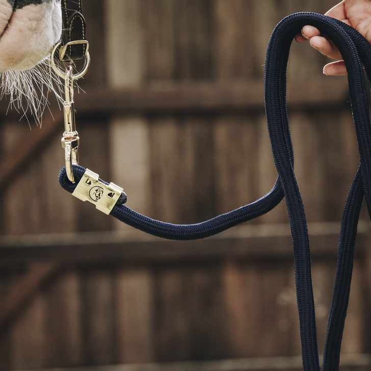Laisse Basics | + Couleurs