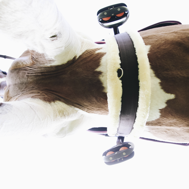 Sheepskin Girth | Brown