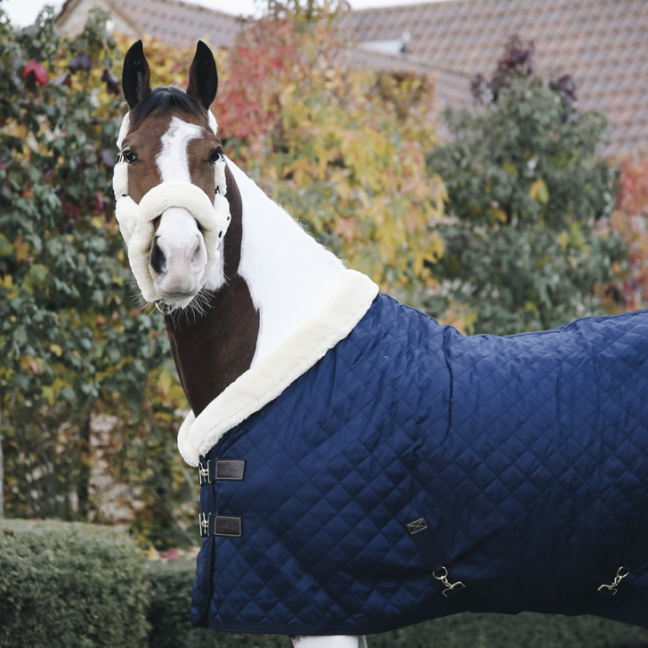 Show Rug 160g | Navy