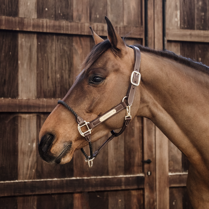 Rope Leather Halter