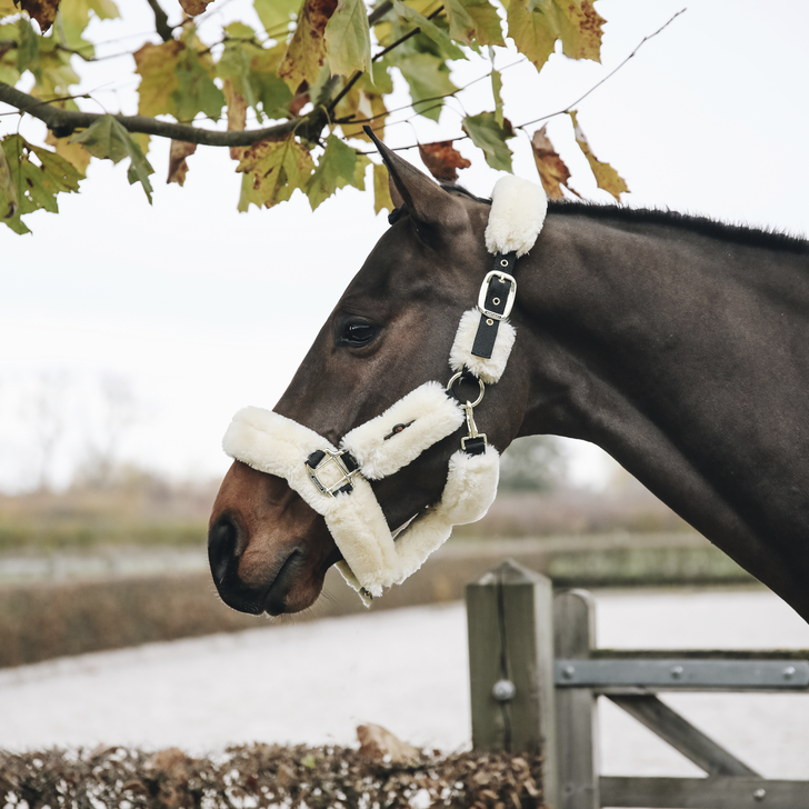 Sheepskin Shipping Halter | Natural