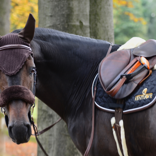 Fly Veil | Brown
