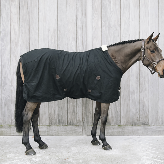 Cotton Sheet by Kentucky | Black
