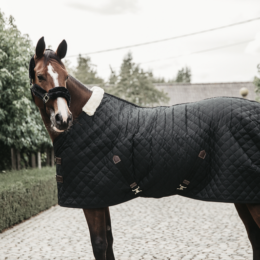 Stable Rug 400g | Black