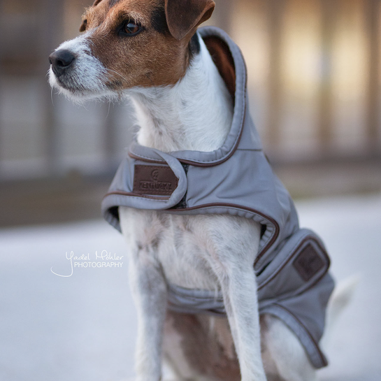 Dog Coat Reflective + Water Repellent | Dusty Blue