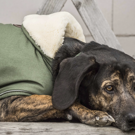 Dog Coat Waterproof 300g | Olive Green