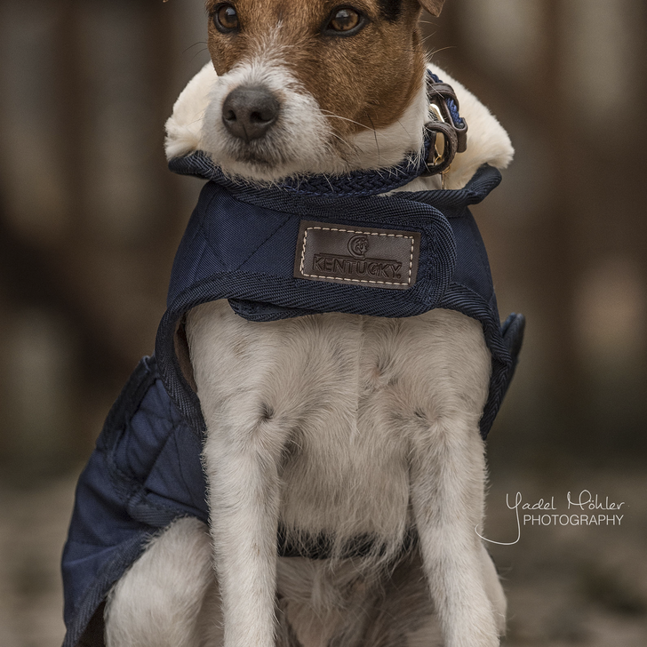 Dog Coat Original | Navy