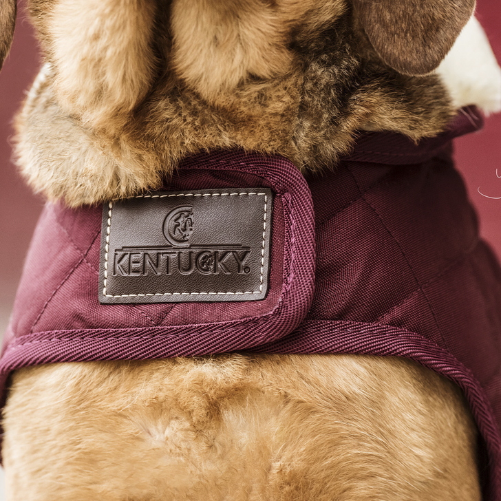 Dog Coat Original | Bordeaux
