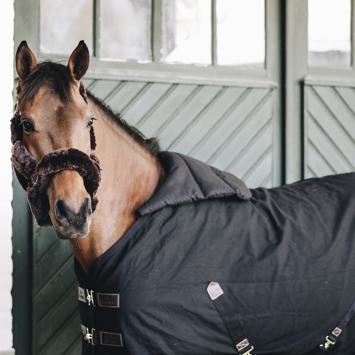 Horse Summer BIB | + Colors