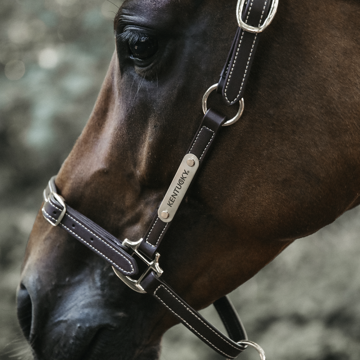Flexible Leather Halter